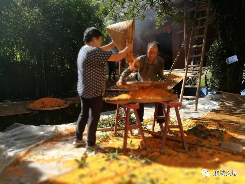 https://mmbiz.qpic.cn/mmbiz_jpg/x1TwG03yku35XBBtIcI89vORab8R9dD0mtLxy1YibiaLLmnsAyiaPWyKicE0C4br8OMx0sY8vGwFtuJ6icESc4GJ6rg/640?wx_fmt=jpeg